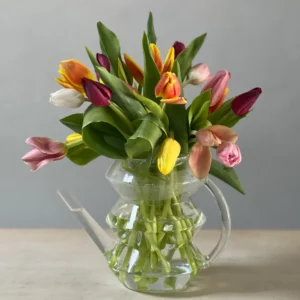 Aqua Tulips