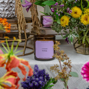 Vela Lavander Astroland