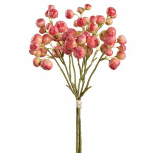 Rama de Manzanas Silvestres (Crabapple)