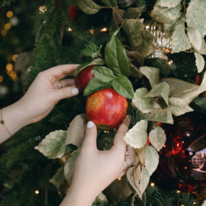 Rama de Manzanas Rojas