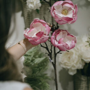 Rama de Magnolia 39"