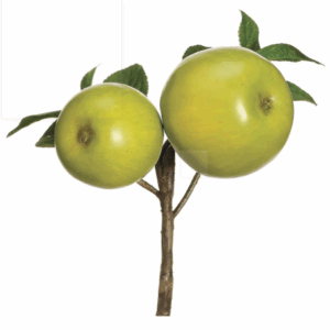 Rama de Manzanas Verdes