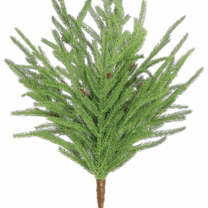 Rama de Pino Norfolk con Mini Piñas