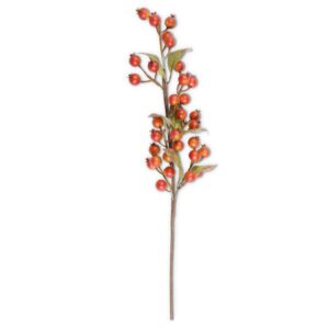 Rama de Escaramujos (Rosehip) – Burnt Orange