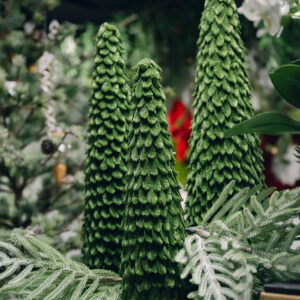 Set de 3 Árboles Decorativos Verdes en Forma de Hoja